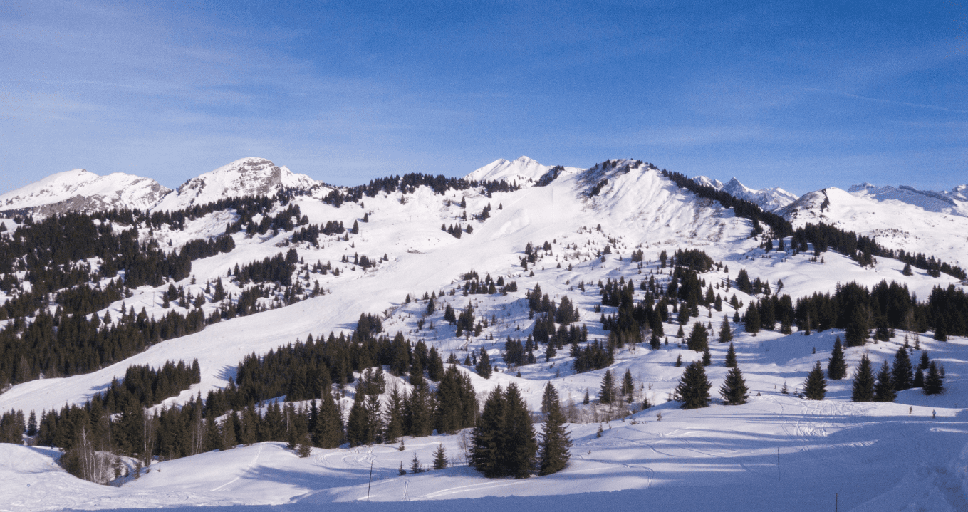 Where to Dine on the Slopes in Les Portes du Soleil