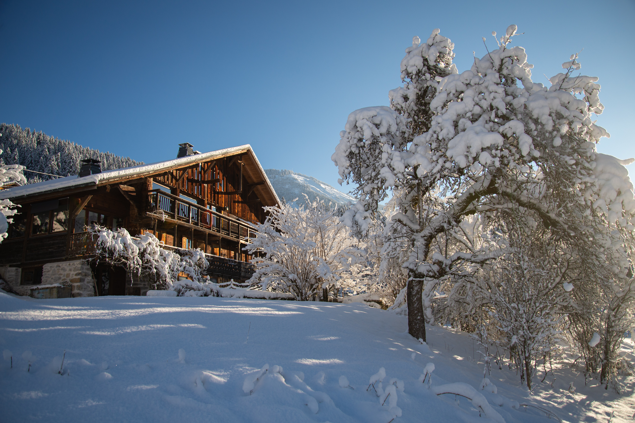 Chalet Image